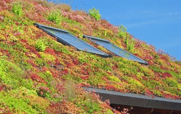 Cowlairs living roof systems